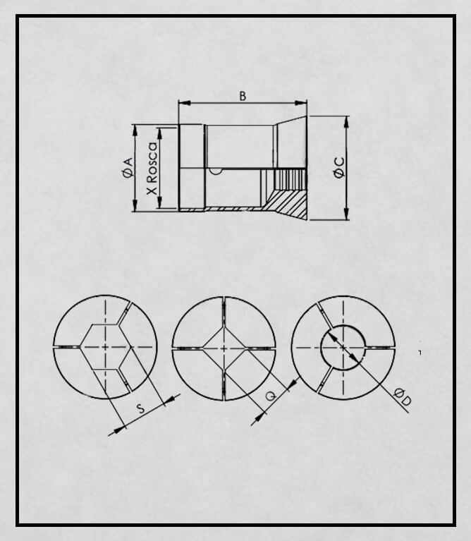 desenho técnico da castanha
